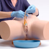 Trenażer do nauki cewnikowania kobiet - Female Catherization Trainer