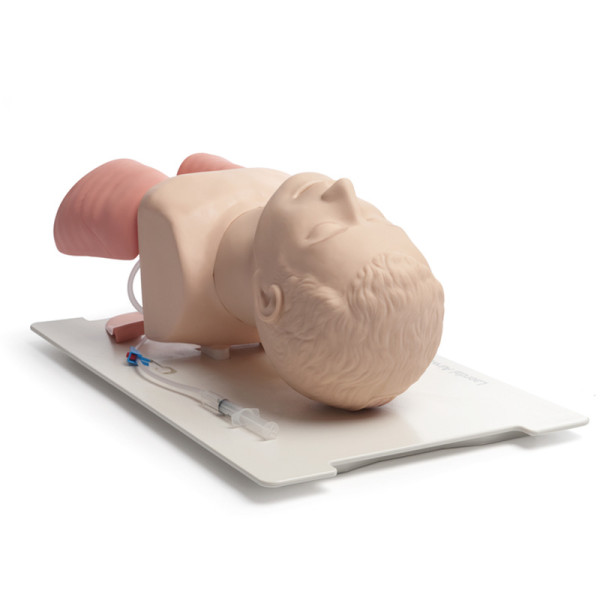 Trenażer udrażniania dróg oddechowych u osób dorosłych - Laerdal Airway Management Trainer