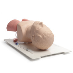 Trenażer udrażniania dróg oddechowych u osób dorosłych - Laerdal Airway Management Trainer