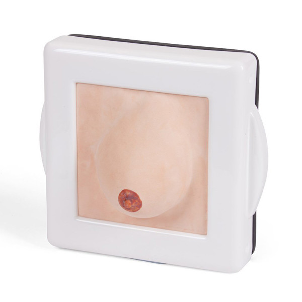 Trenażer do badania i diagnostyki piersi