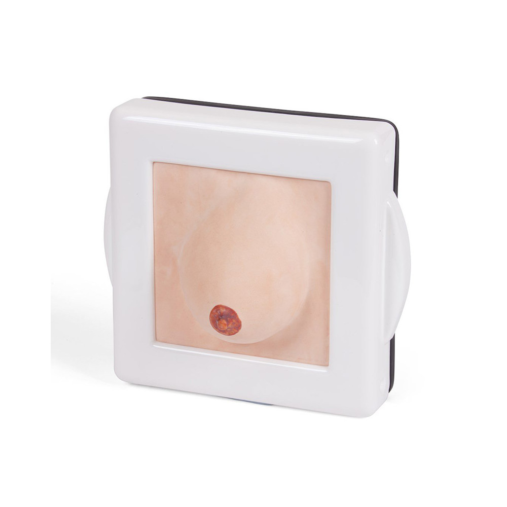 Trenażer do badania i diagnostyki piersi