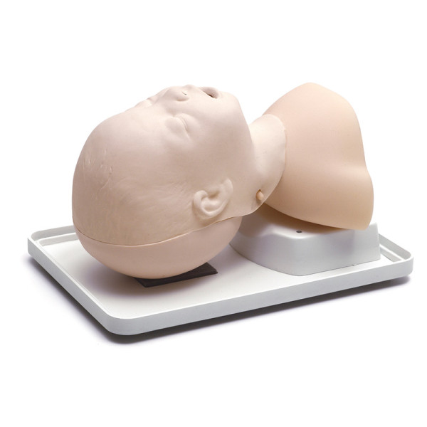 Infant Airway Management Trainer – Trenażer do udrażniania dróg oddechowych u niemowląt