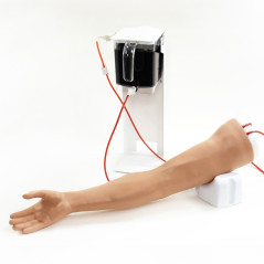 Standardowa ręka do nauki wkłuć - Standard Venipuncture Arm (jasny odcień skóry)