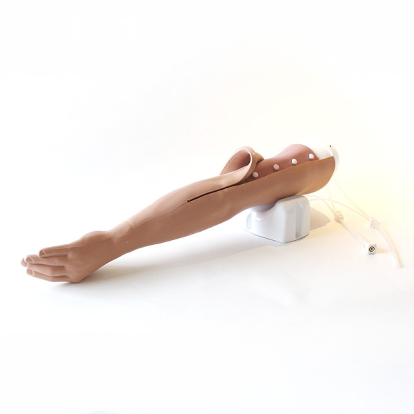 Standardowa ręka do nauki wkłuć - Standard Venipuncture Arm (jasny odcień skóry)