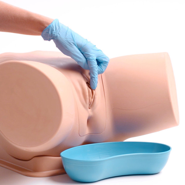 Zestaw trenażerów do nauki cewnikowania - Catheterization Trainer Set