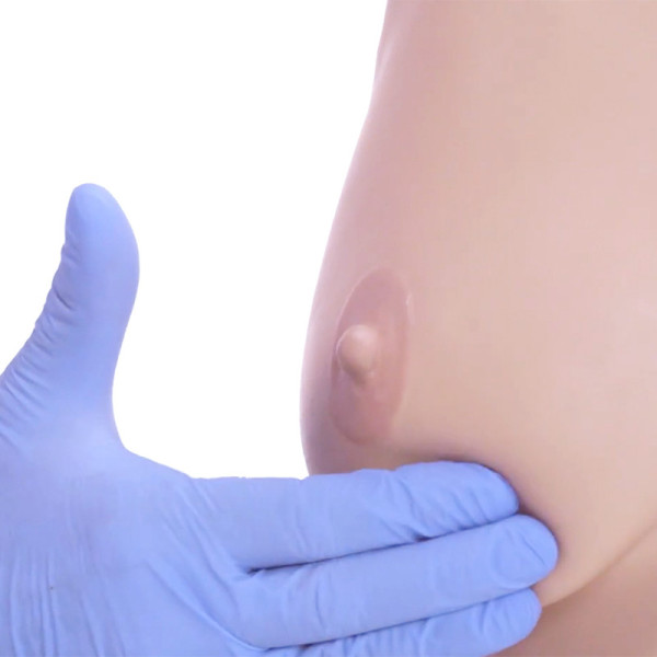 Model do badania i samobadania piersi - Basic Breast Examination Trainer