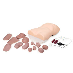 Fantom do nauki badania jamy brzusznej - Abdominal Examination Trainer
