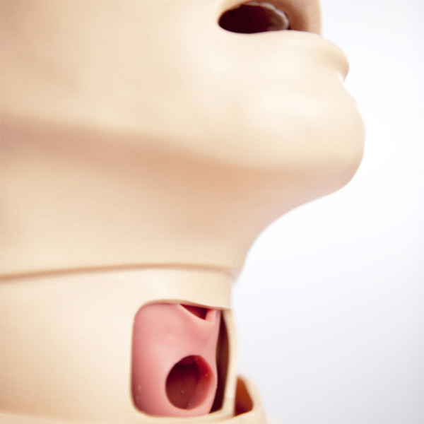 Trenażer powikłań w drogach oddechowych - Deluxe Difficult Airway Trainer